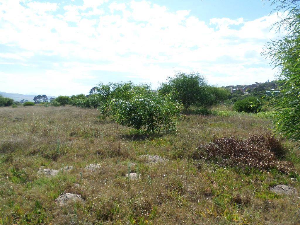 572 m² Land available in Fraaiuitsig photo number 7