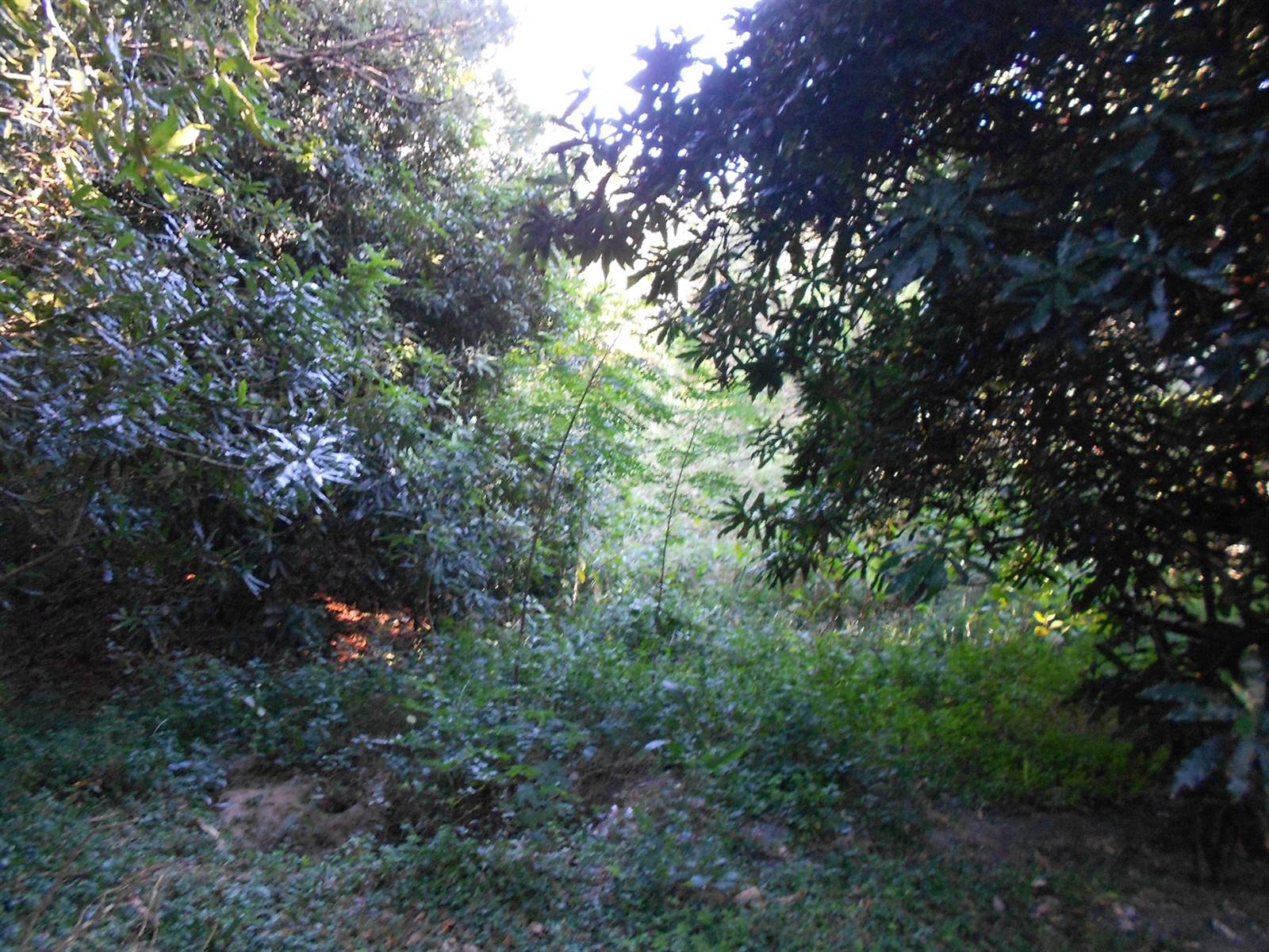 1068 m² Land available in Bonnie Doone photo number 10