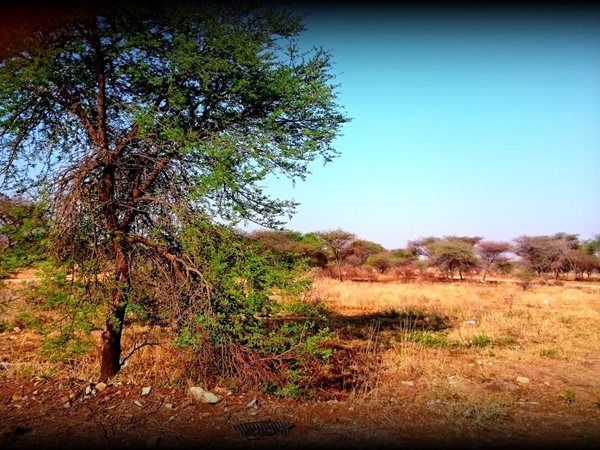 1.6 ha Land 1.6 ha Land