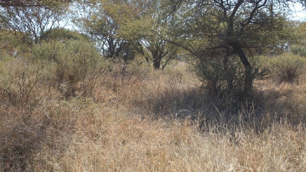 388 m² Land available in Northam photo number 8