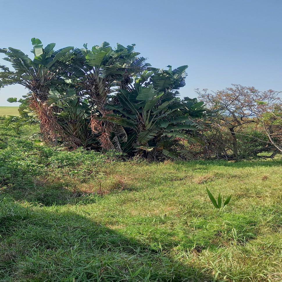 736 m² Land available in Princes Grant Golf Estate photo number 16