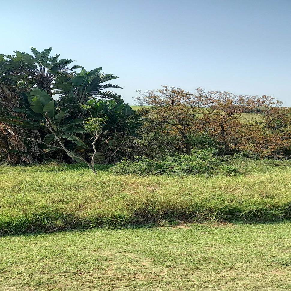 736 m² Land available in Princes Grant Golf Estate photo number 20