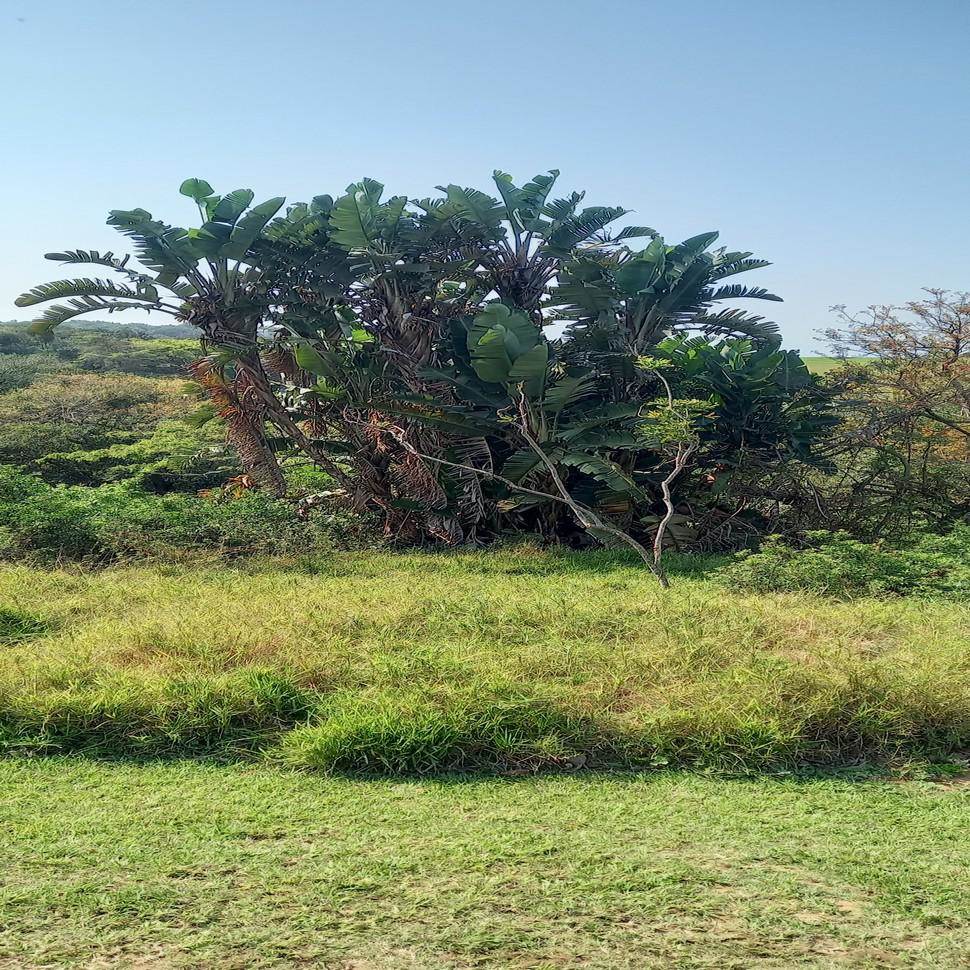 736 m² Land available in Princes Grant Golf Estate photo number 18