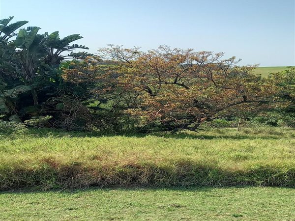 736 m² Land available in Princes Grant Golf Estate