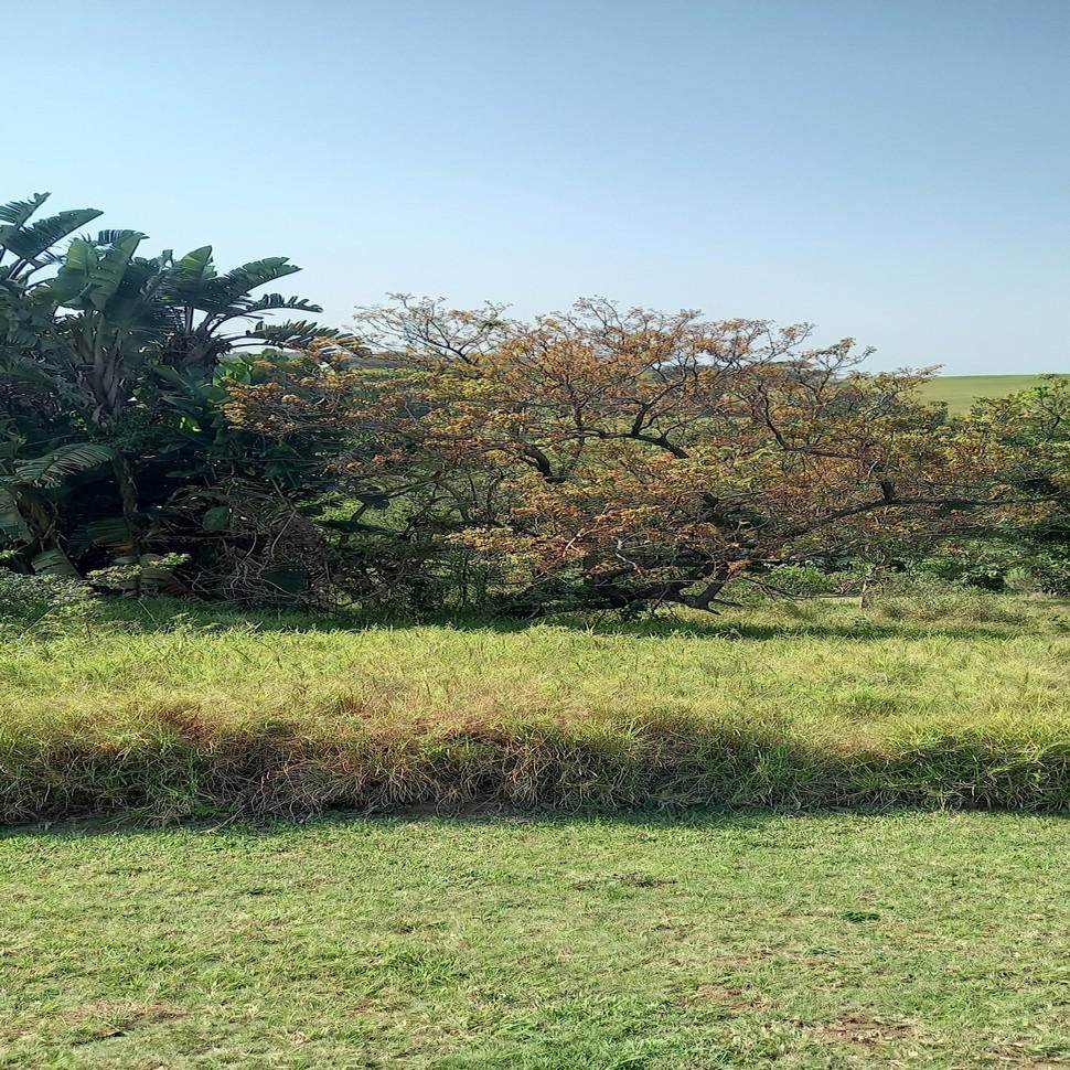 736 m² Land available in Princes Grant Golf Estate photo number 1