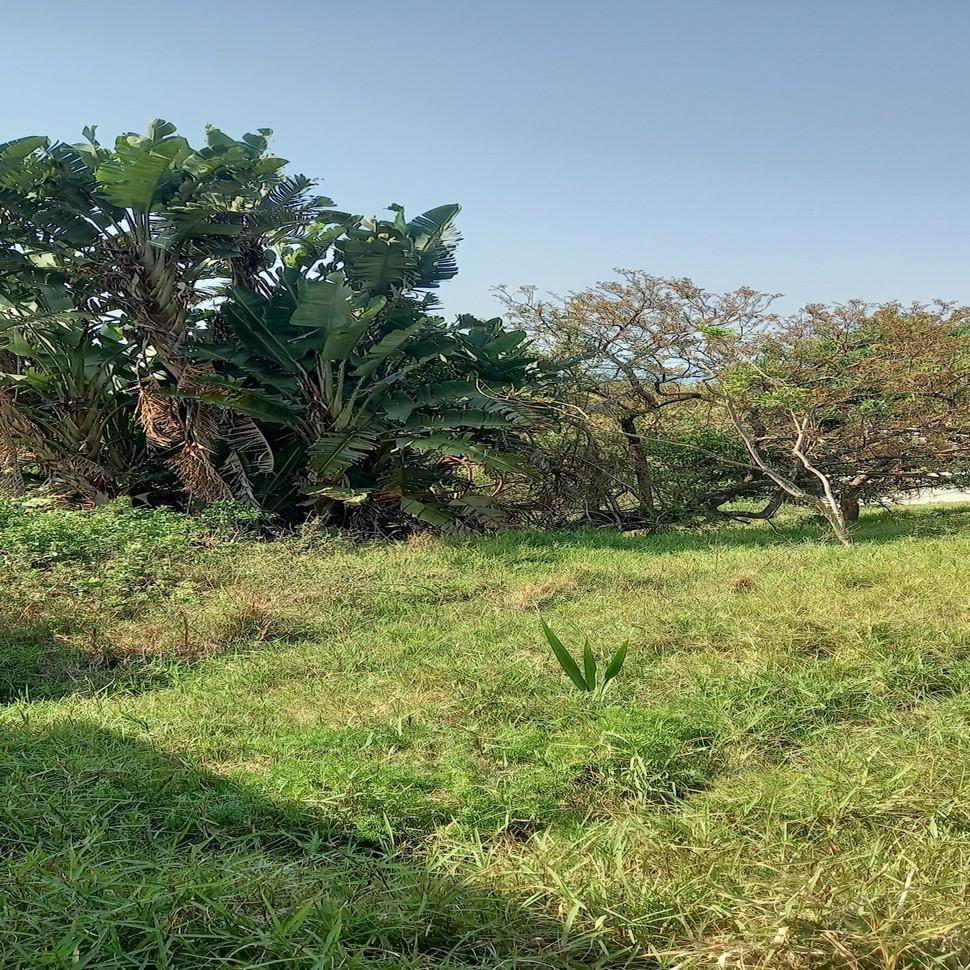 736 m² Land available in Princes Grant Golf Estate photo number 17