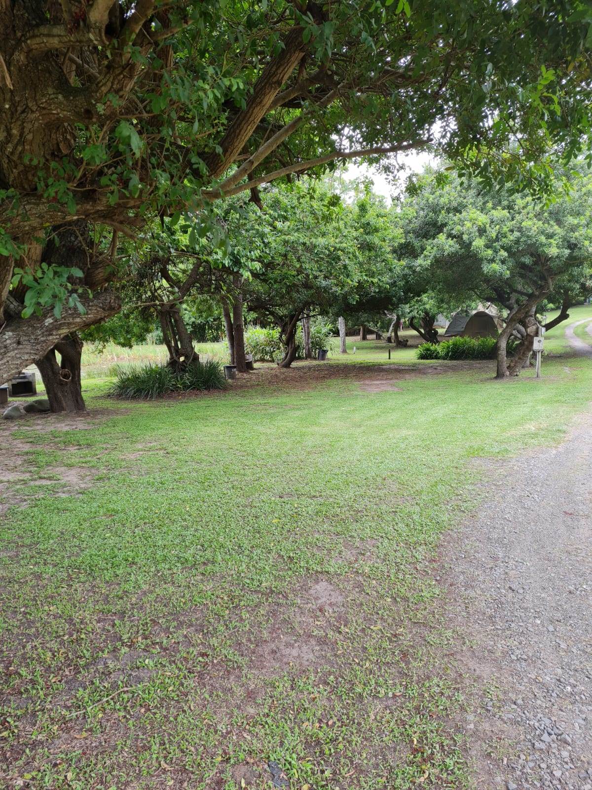 5.4 ha Smallholding in Shelly Beach photo number 19