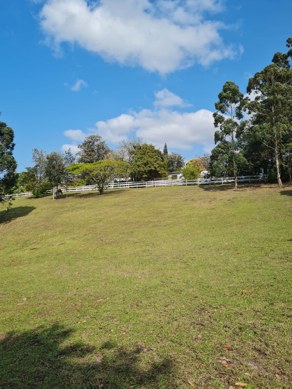 5.4 ha Smallholding in Shelly Beach photo number 23