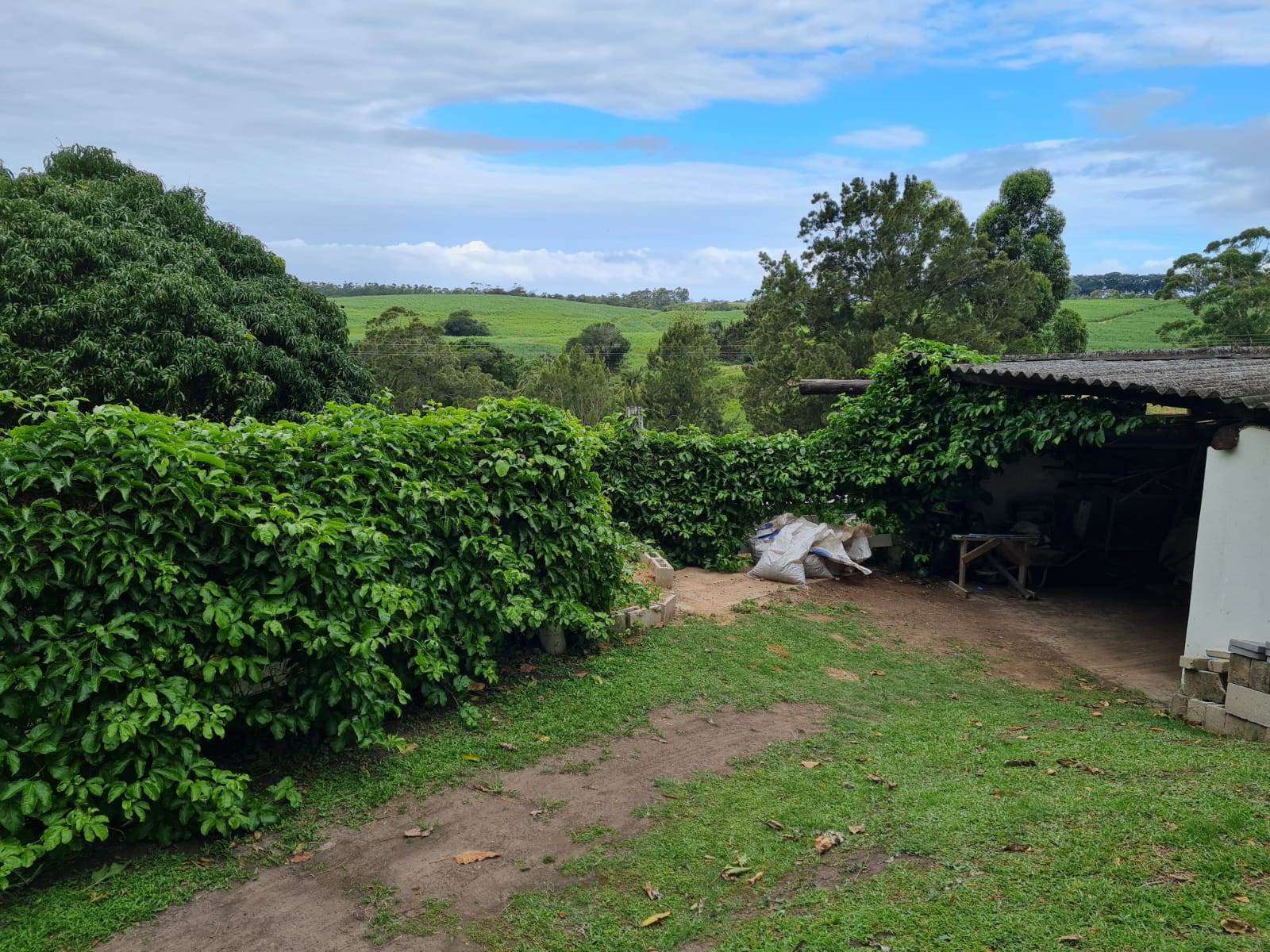 5.4 ha Smallholding in Shelly Beach photo number 6