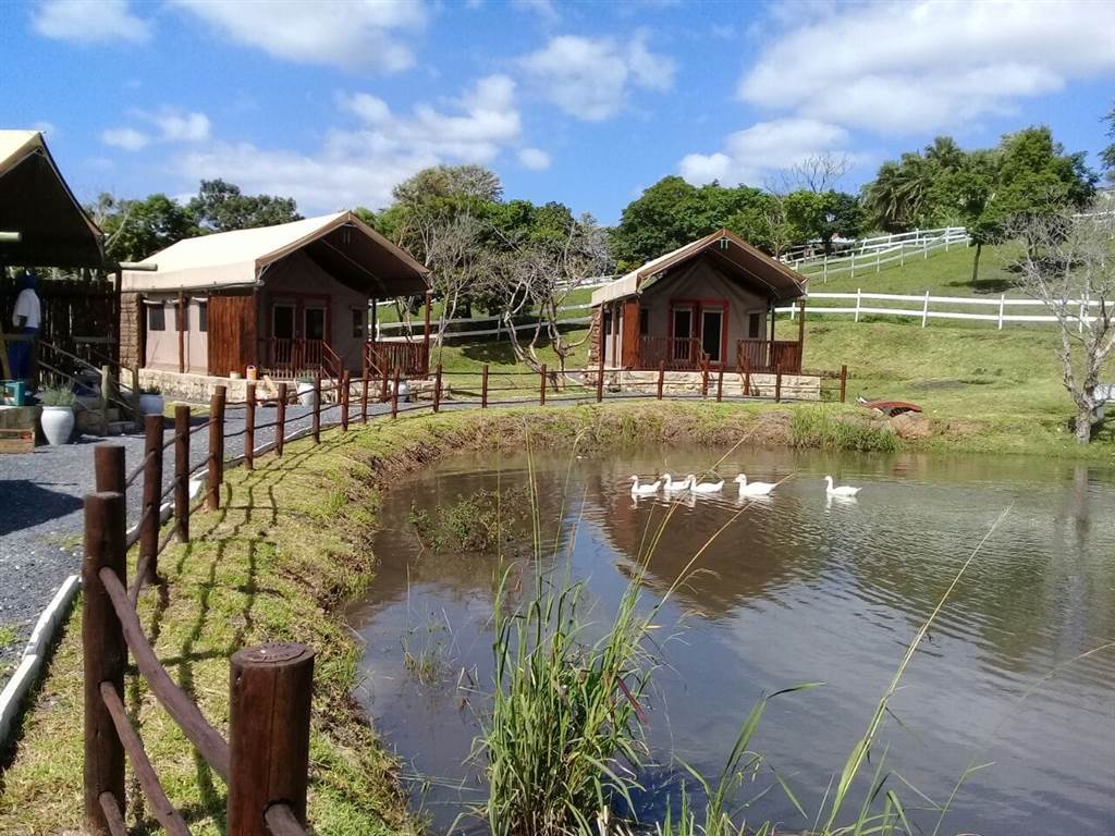 5.4 ha Smallholding in Shelly Beach photo number 10