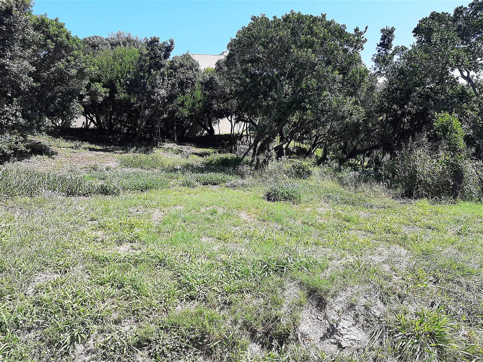 1753 m² Land available in Port Alfred photo number 13