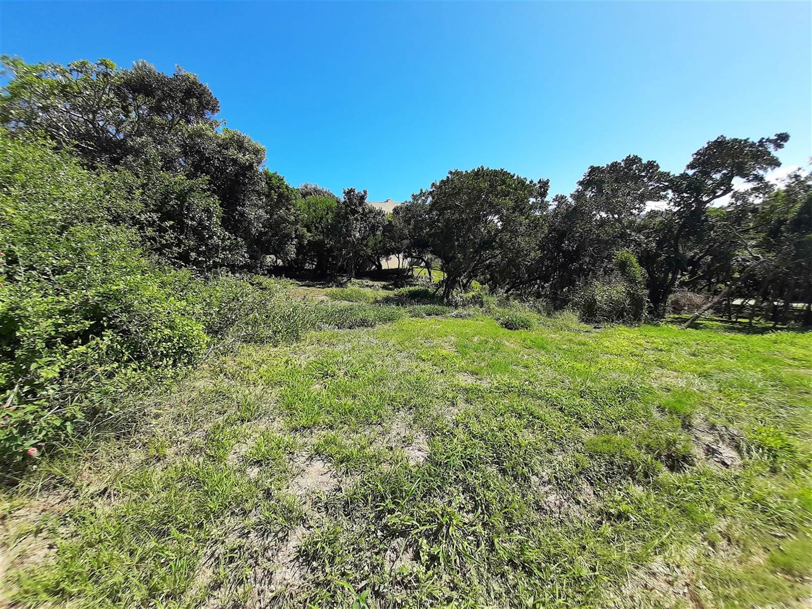 1753 m² Land available in Port Alfred photo number 7
