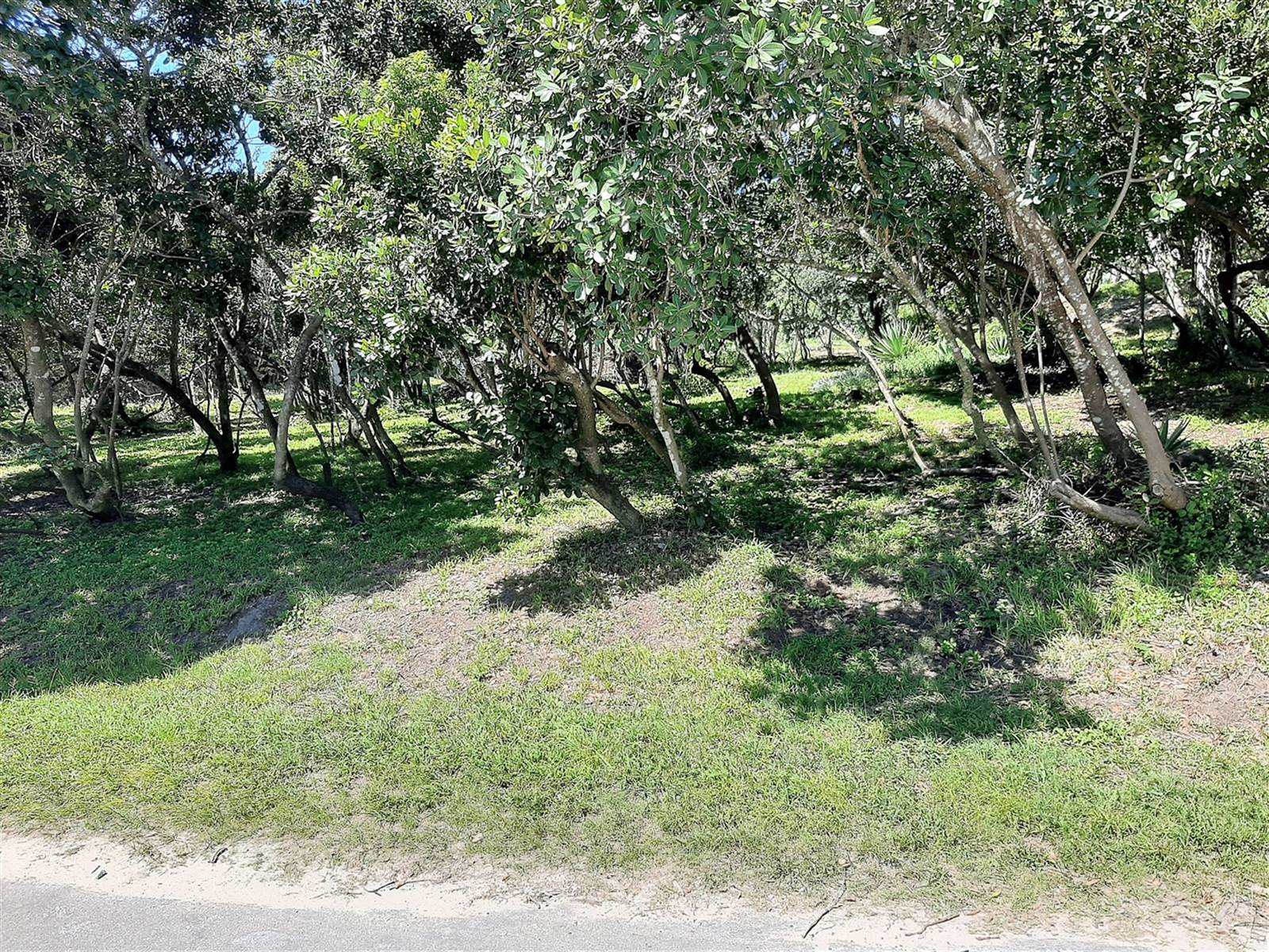 1753 m² Land available in Port Alfred photo number 10