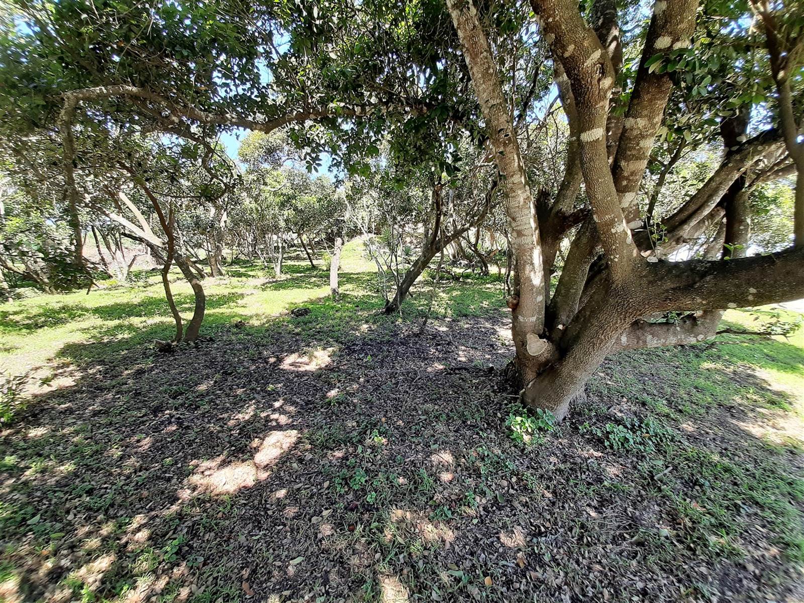 1753 m² Land available in Port Alfred photo number 9