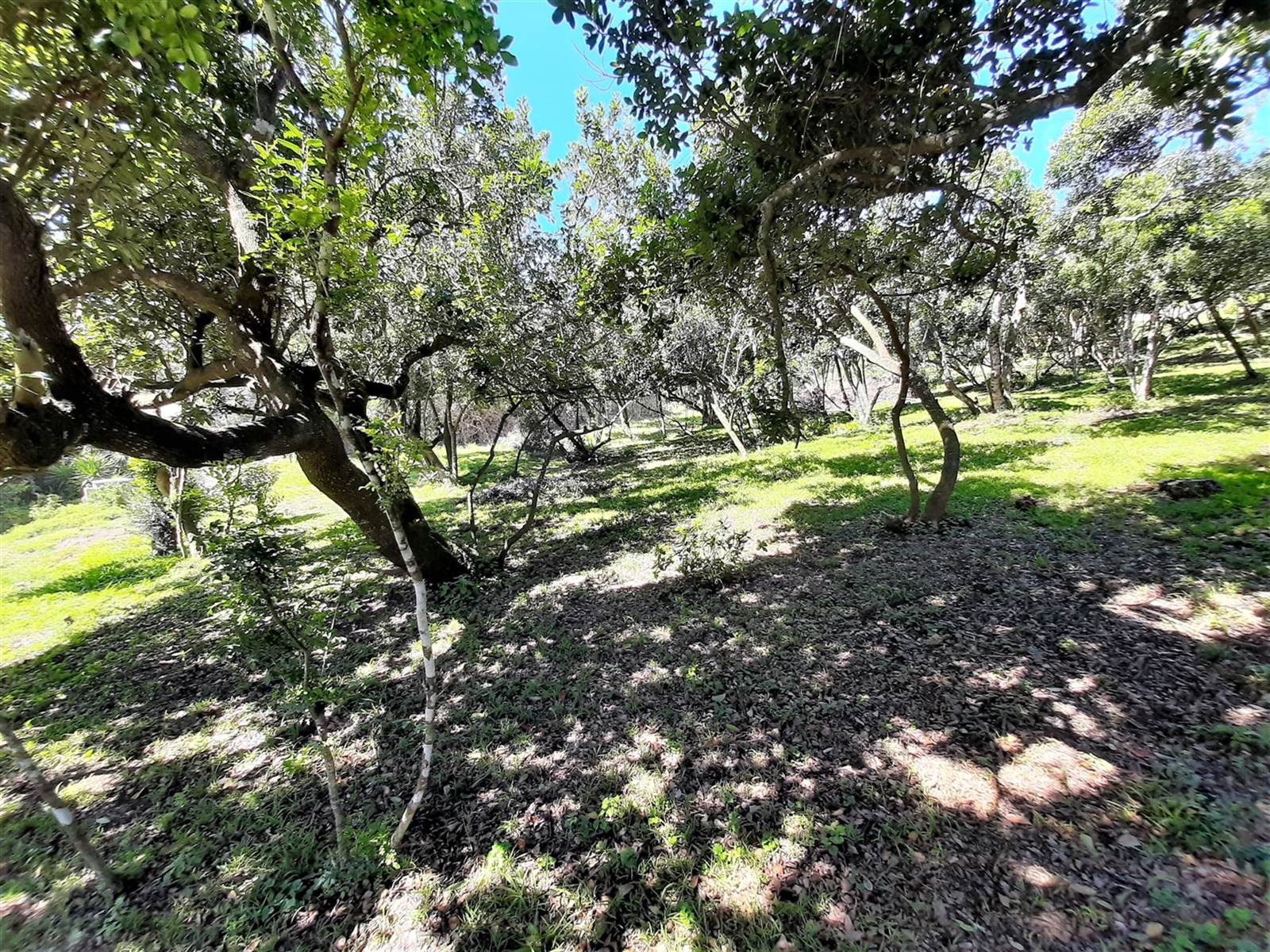 1753 m² Land available in Port Alfred photo number 8