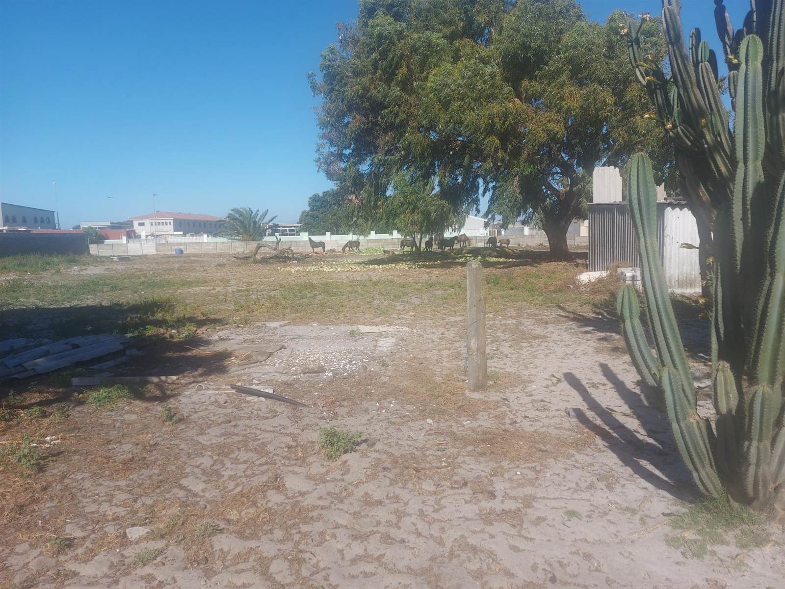 4000 m² Land available in Schaap Kraal photo number 2