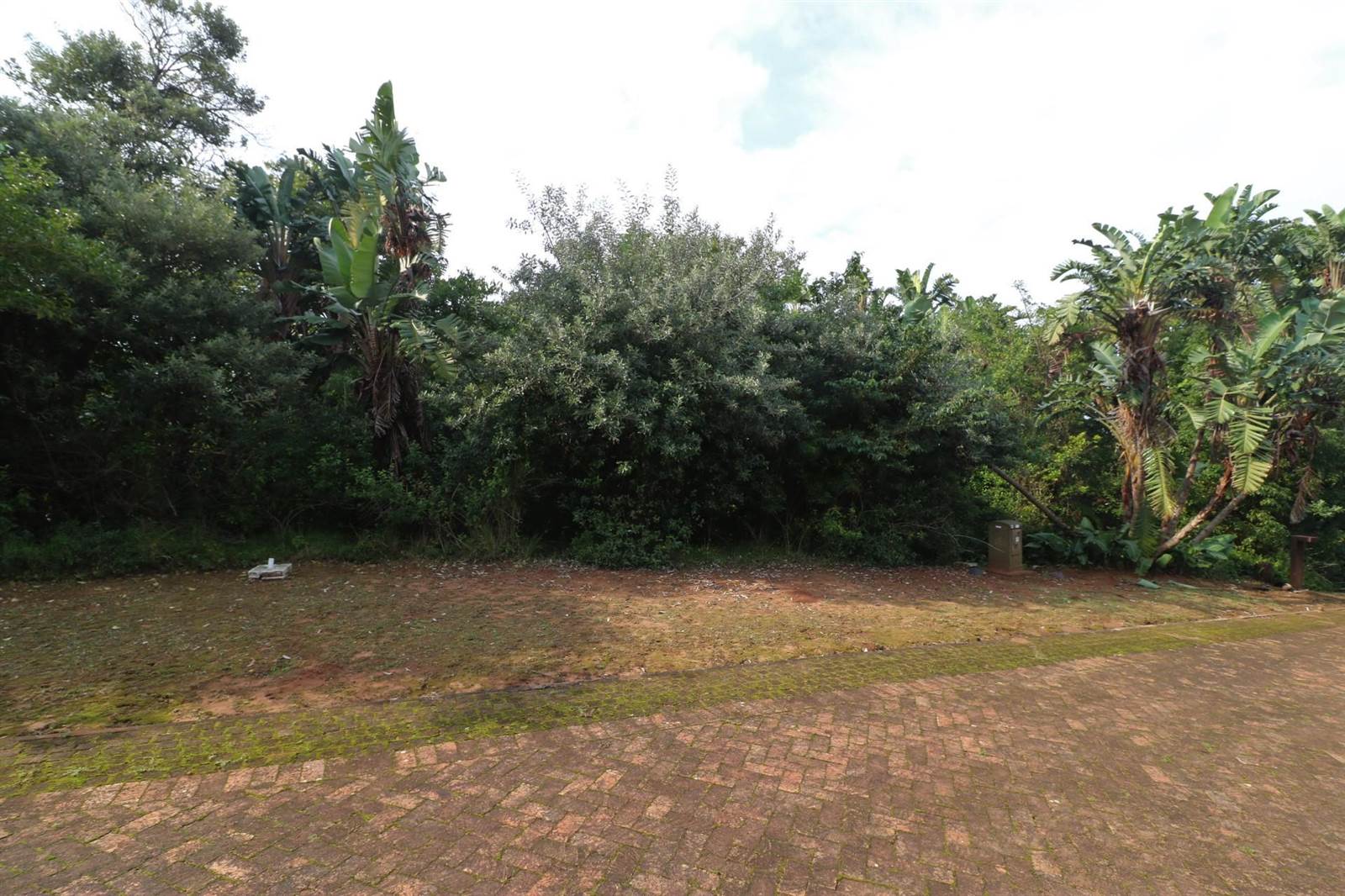 1563 m² Land available in Leisure Bay photo number 8