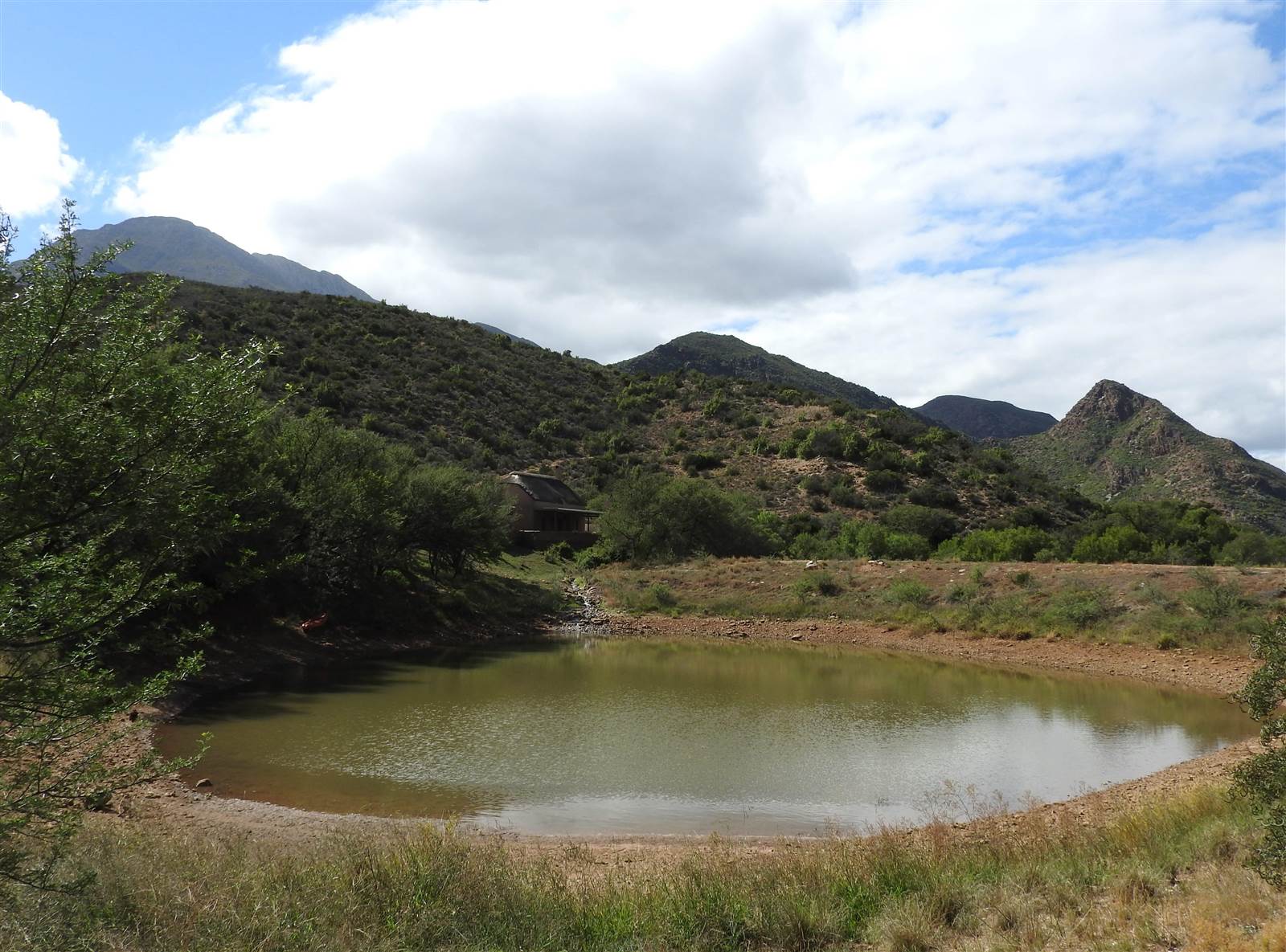 77 ha Farm in Calitzdorp photo number 19
