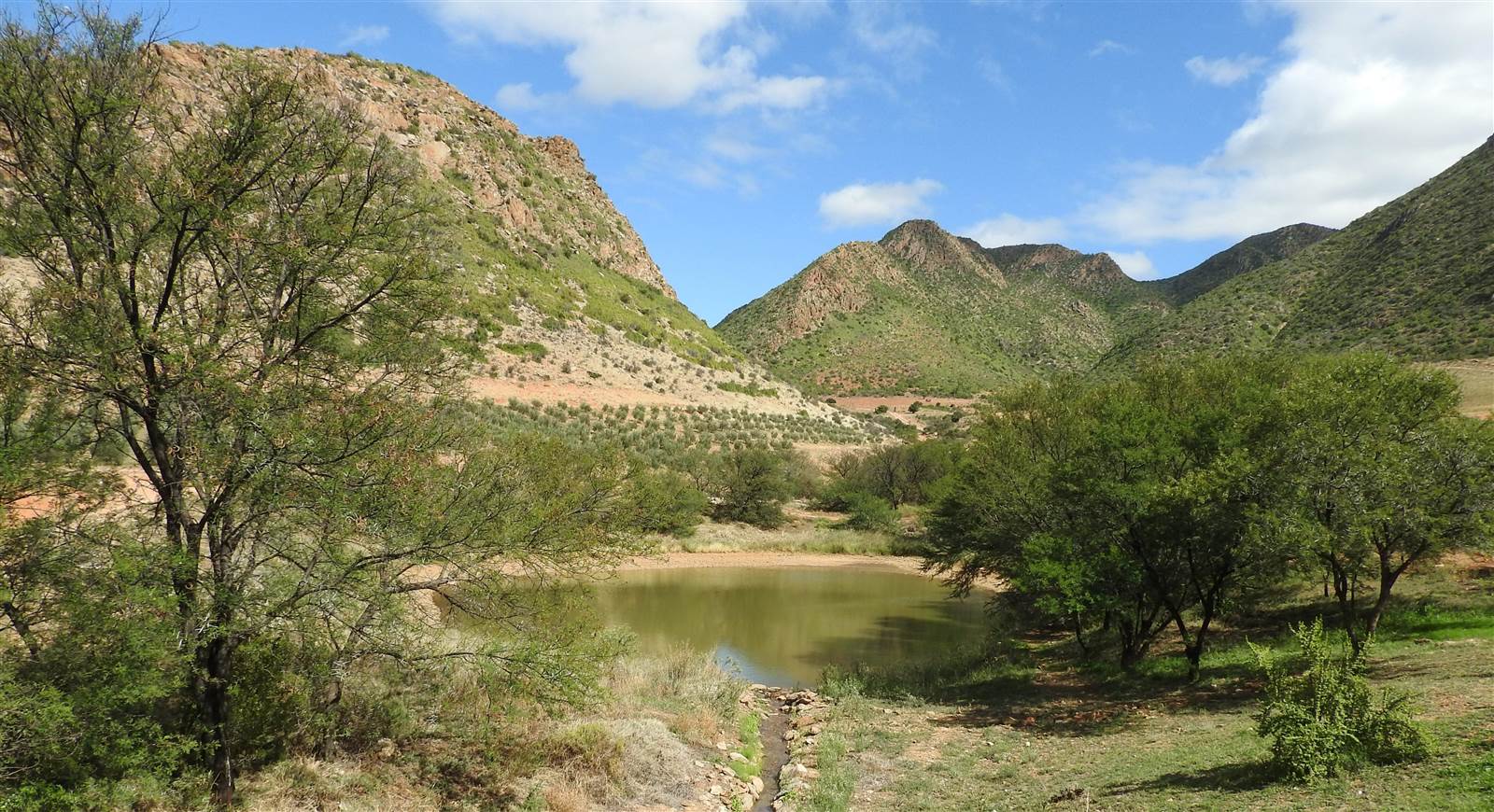 77 ha Farm in Calitzdorp photo number 21