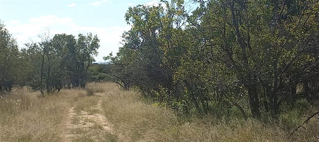 21 ha Land available in Hoedspruit photo number 6
