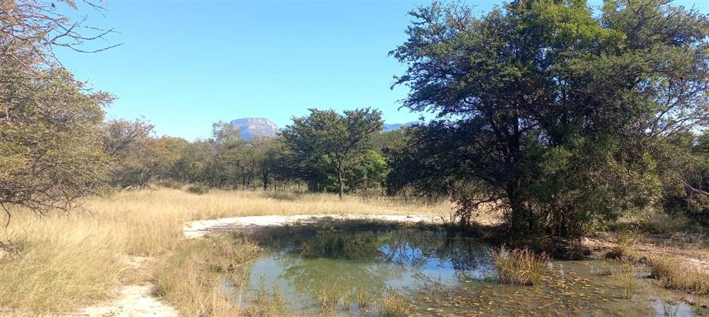 21 ha Land available in Hoedspruit photo number 8