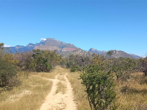 21 ha Land available in Hoedspruit