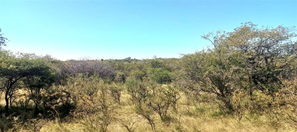 21 ha Land available in Hoedspruit photo number 3
