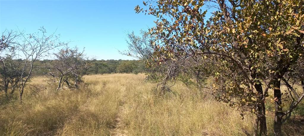 21 ha Land available in Hoedspruit photo number 7