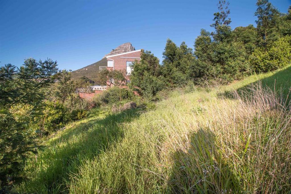 630 m² Land available in Tamboerskloof photo number 7