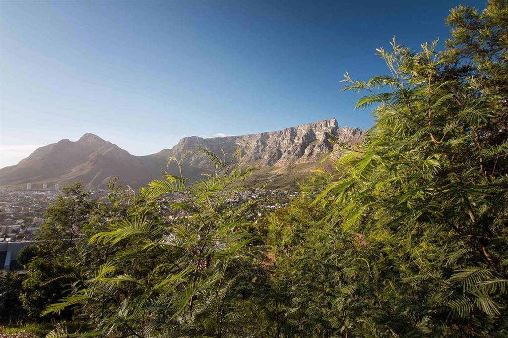 630 m² Land available in Tamboerskloof photo number 8