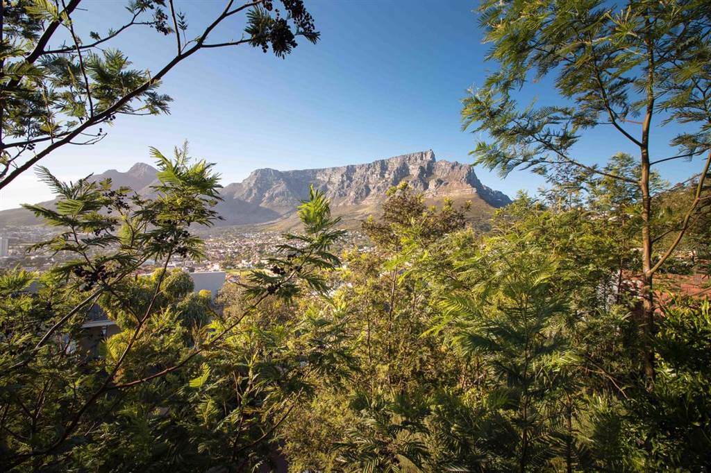 630 m² Land available in Tamboerskloof photo number 13