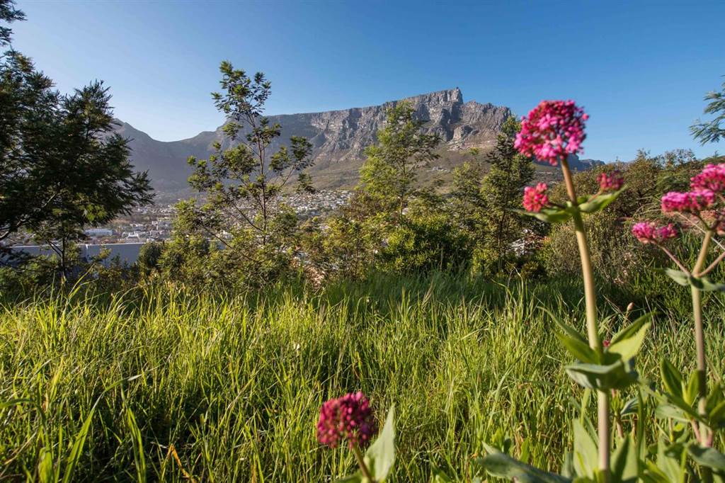630 m² Land available in Tamboerskloof photo number 10