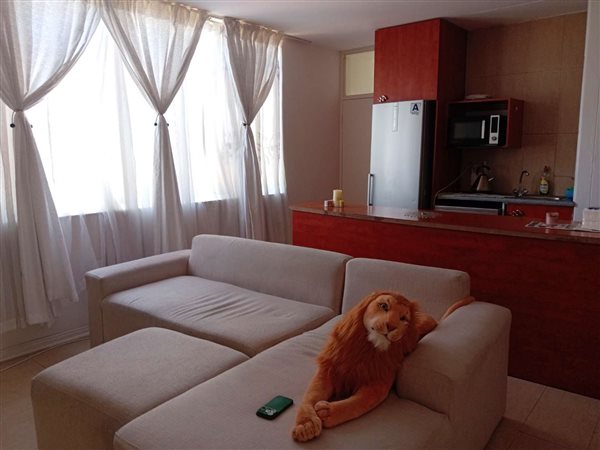 1 Bed Apartment