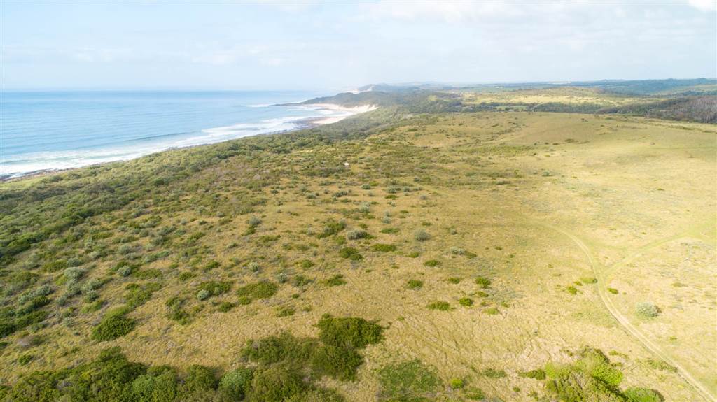 1035 m² Land available in Kidds Beach photo number 14