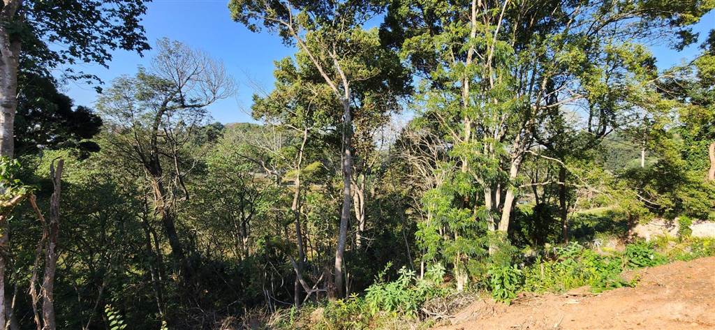 4977 m² Land available in Kloof photo number 4