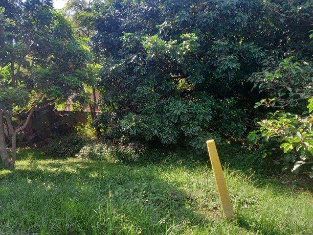 1103 m² Land available in Zinkwazi Beach photo number 4
