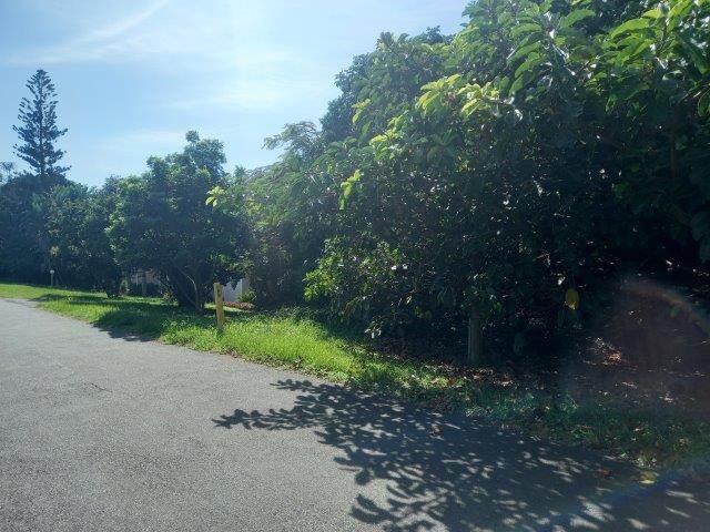 1103 m² Land available in Zinkwazi Beach photo number 8