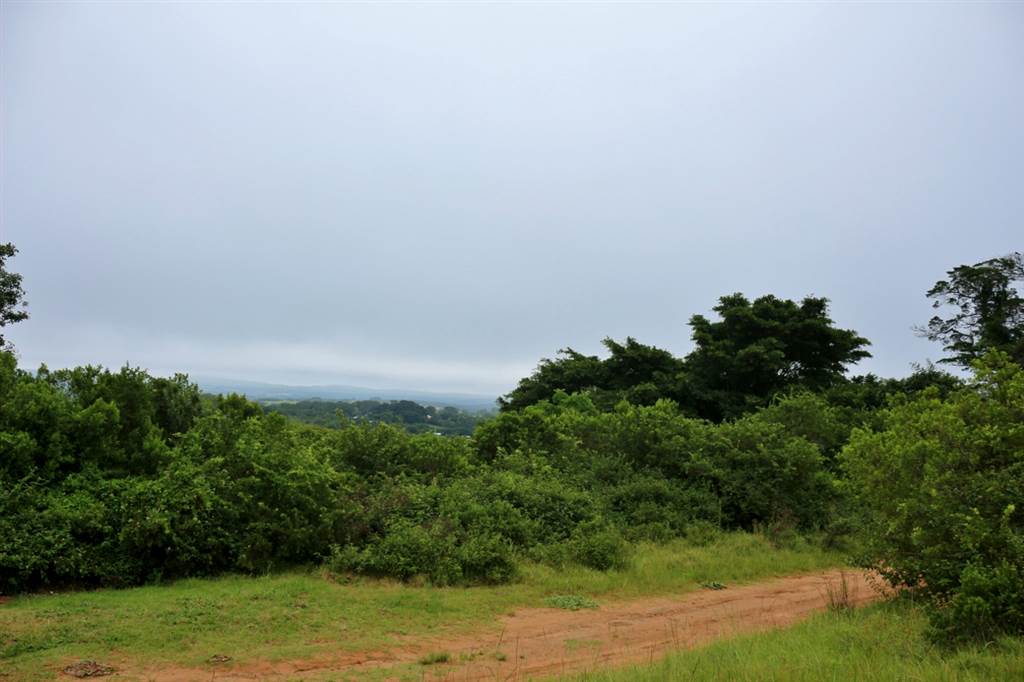 5403 m² Land available in Bathurst and Surrounds photo number 6