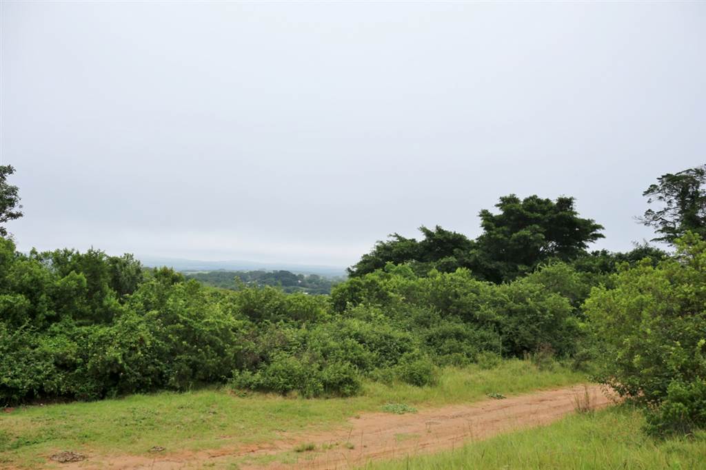 5403 m² Land available in Bathurst and Surrounds photo number 11