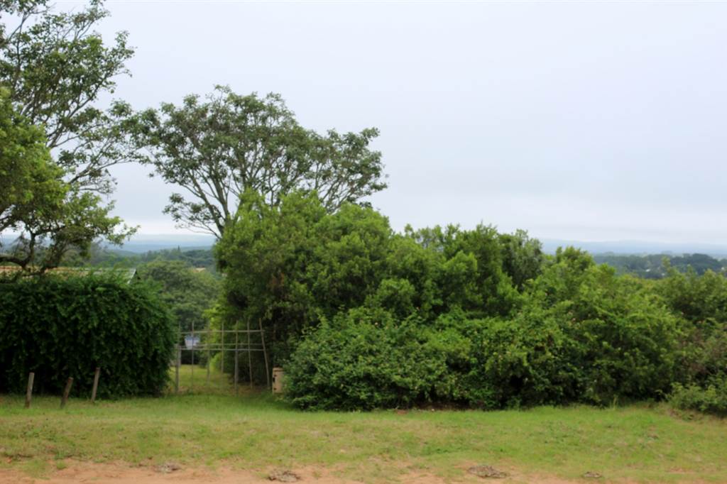 5403 m² Land available in Bathurst and Surrounds photo number 5