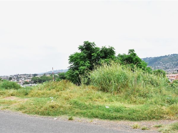 712 m² Land available in Palmview