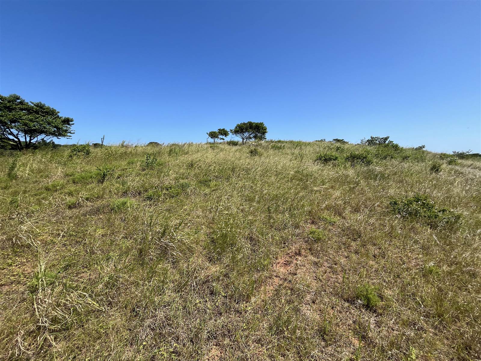 1192 m² Land available in Zimbali Lakes Resort photo number 10