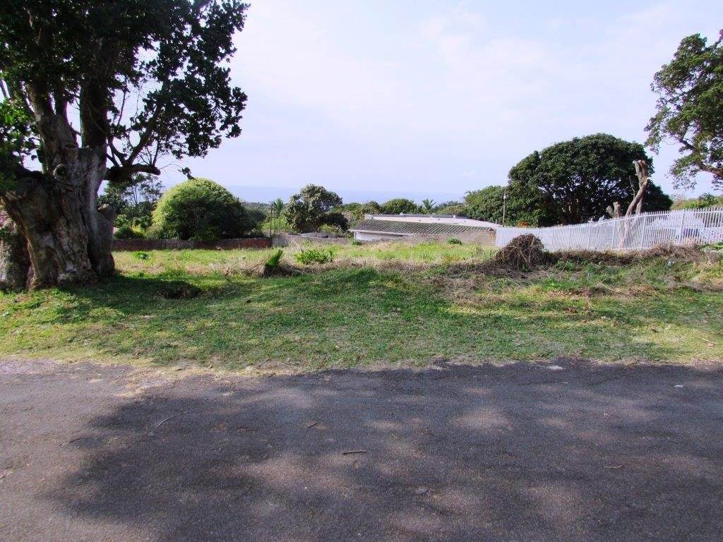 1055 m² Land available in Woodgrange photo number 3