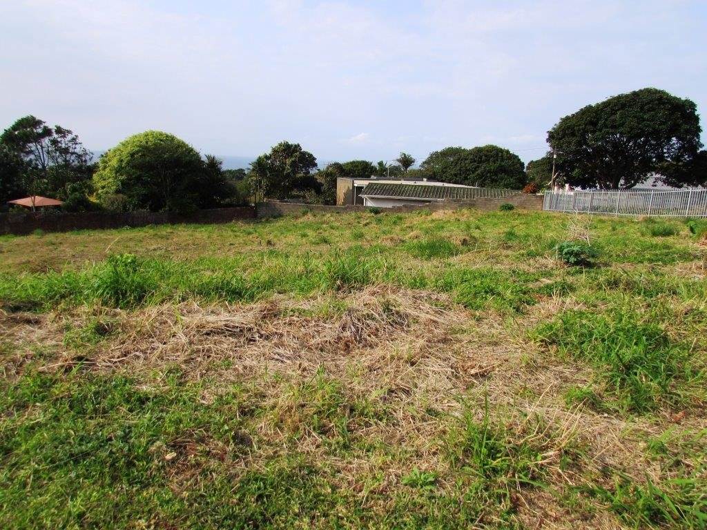 1055 m² Land available in Woodgrange photo number 5