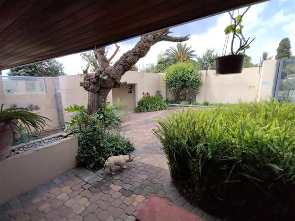 3 Bedroom House 3 Bedroom House