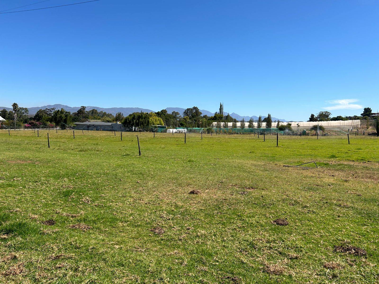 4.6 ha Smallholding in Bonnievale photo number 22