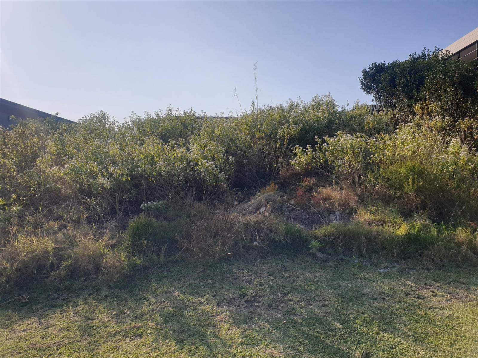 582 m² Land available in Palm Lakes Estate photo number 2