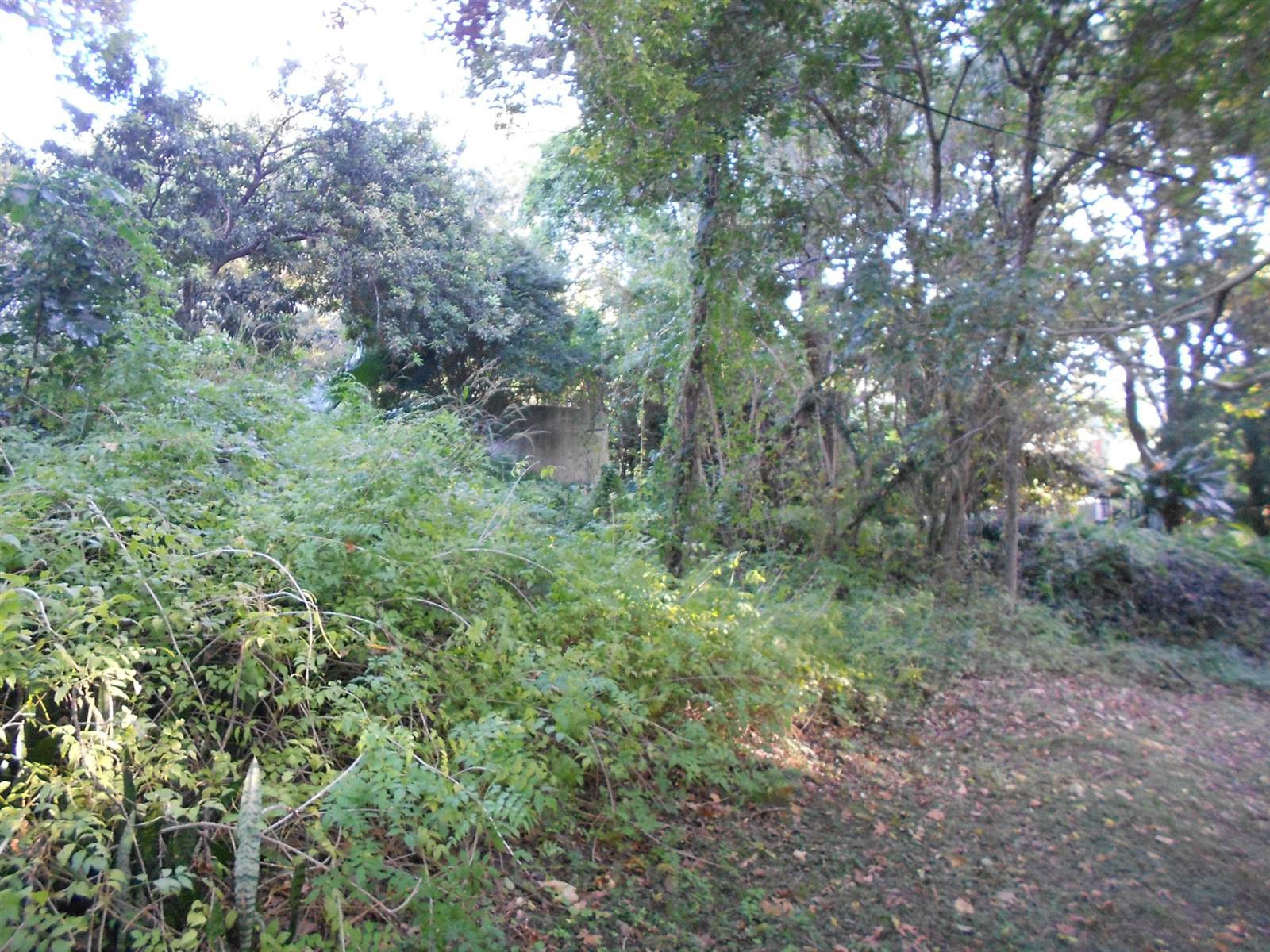 1121 m² Land available in Bonnie Doone photo number 4