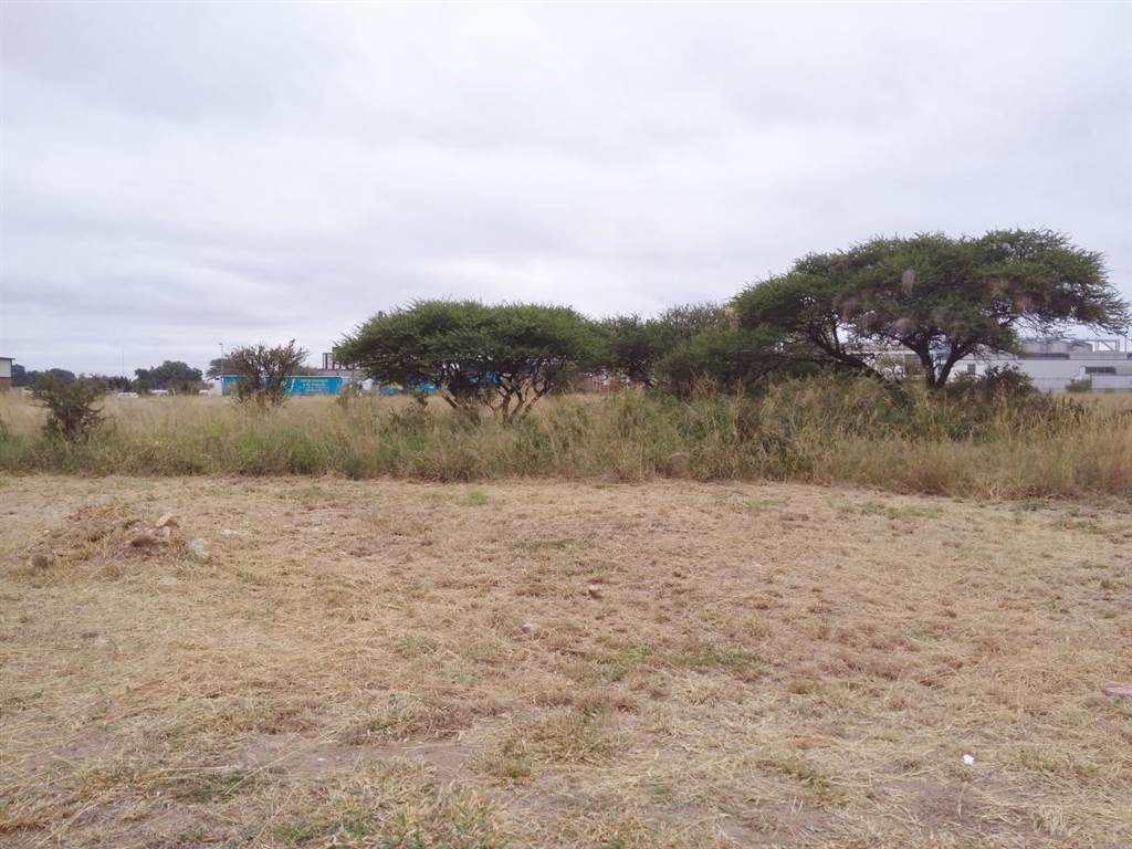6923 m² Land available in Magna Via photo number 3