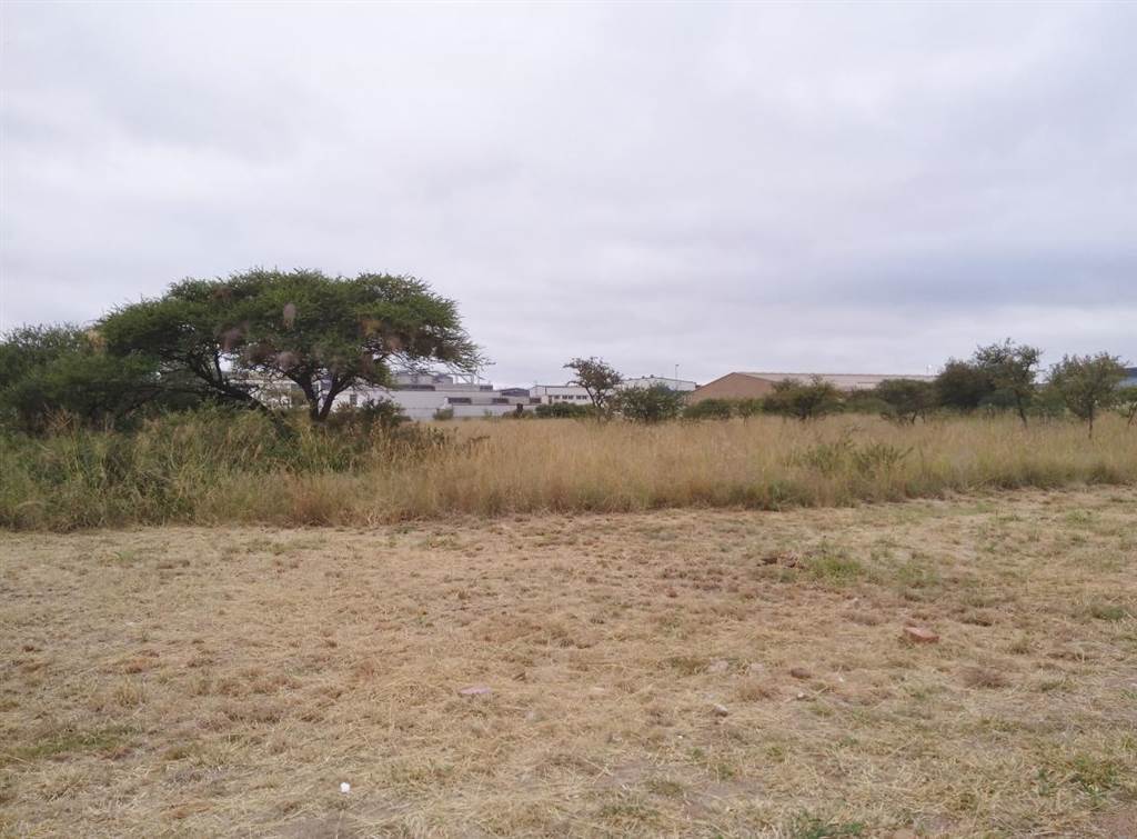 6923 m² Land available in Magna Via photo number 2